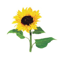 Birgit Marianne Vestling